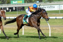 Picture of the author