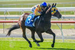 Picture of the author